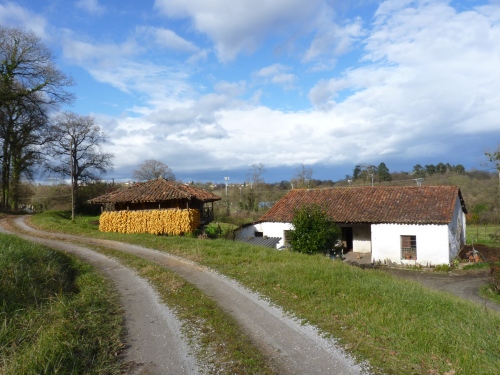 escena típica del campo asturiano